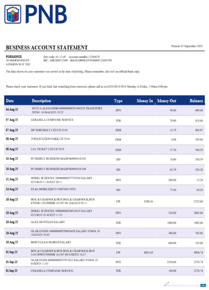 Download PNB bank business account statement Word and PDF template Photoshop template